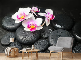 photo-wallpaper-feng-shui-orchid-zen