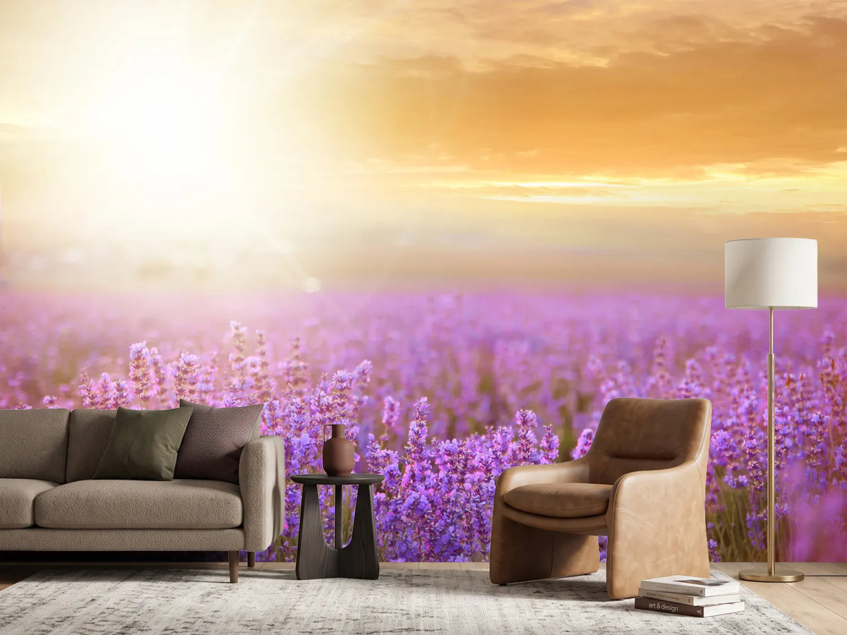 photo-wallpaper-sunset-in-lavender-field