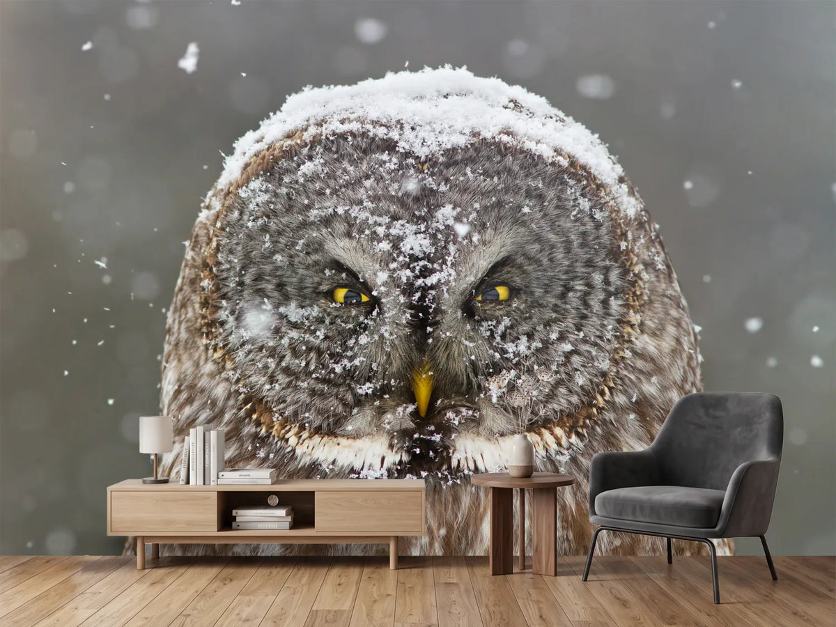 photo-wallpaper-great-grey-owl-winter-portrait