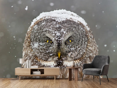 photo-wallpaper-great-grey-owl-winter-portrait