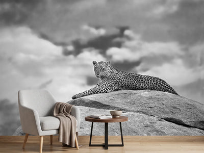 photo-wallpaper-leopard-on-a-kopje-x