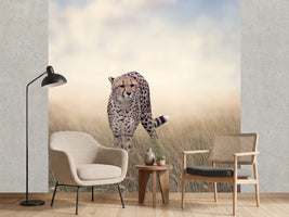 photo-wallpaper-the-cheetah