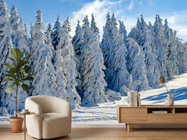 photo-wallpaper-beautiful-winter-landscape