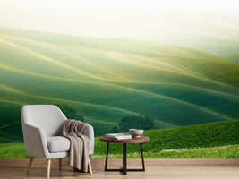 photo-wallpaper-tuscany