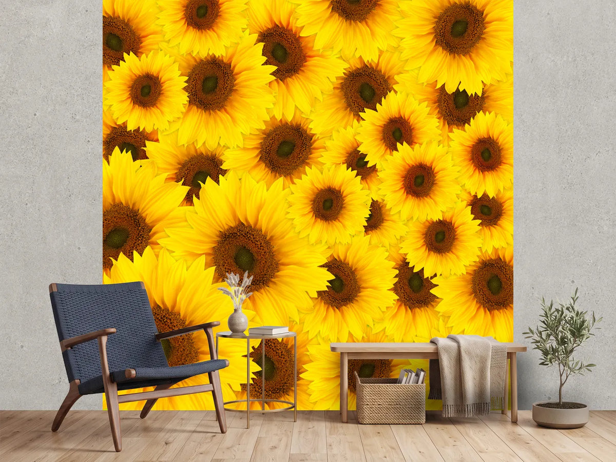 photo-wallpaper-a-bouquet-sunflower