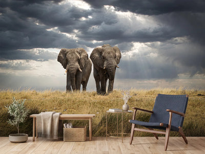 photo-wallpaper-african-elephants-dramatic-sky