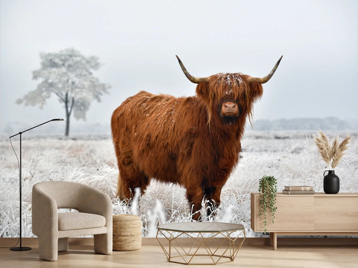 photo-wallpaper-scottish-highlander-in-a-natural-winter-landscape