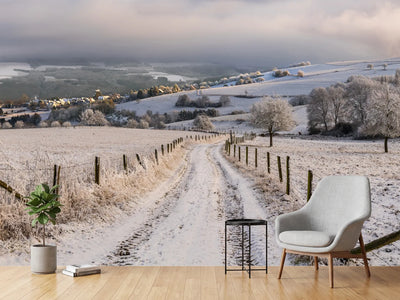 photo-wallpaper-winter-wonderland