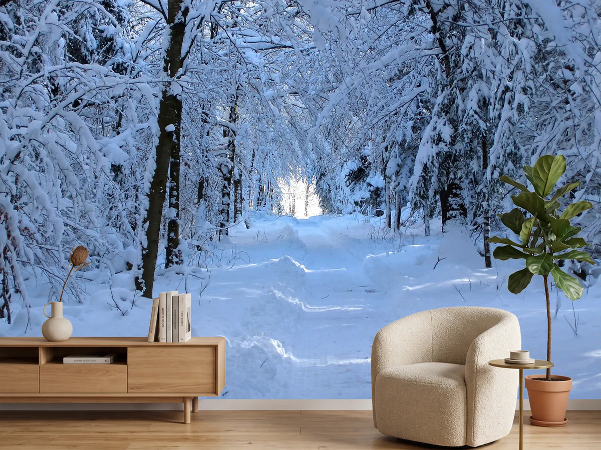 photo-wallpaper-finally-winter
