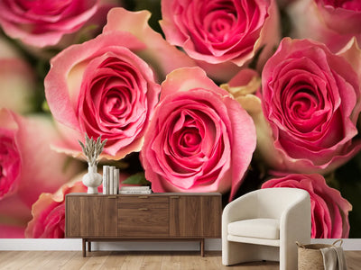 photo-wallpaper-rose-love