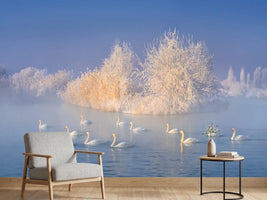 photo-wallpaper-swan-lake-xge