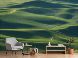 photo-wallpaper-emerald-field-waves