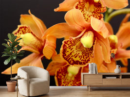 photo-wallpaper-orchids-with-orange-flowers