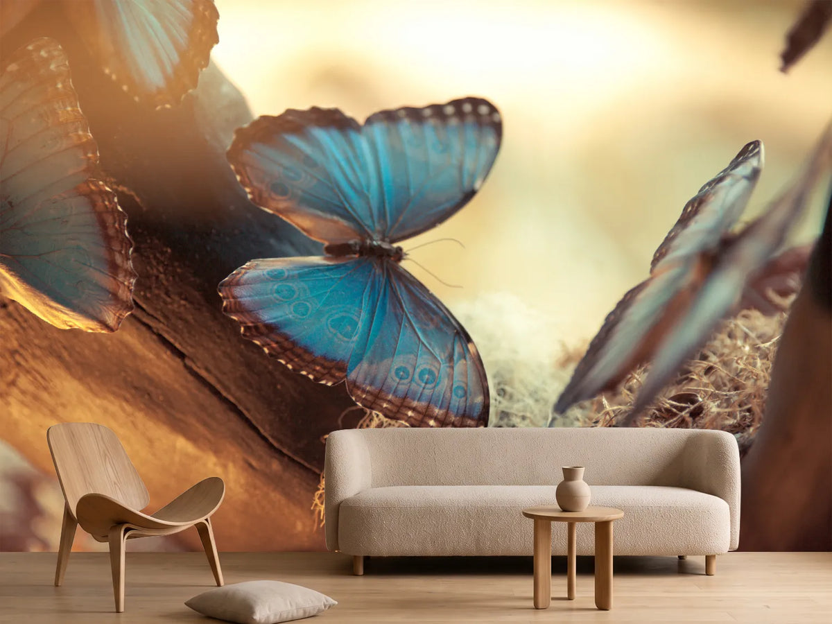 photo-wallpaper-butterflies