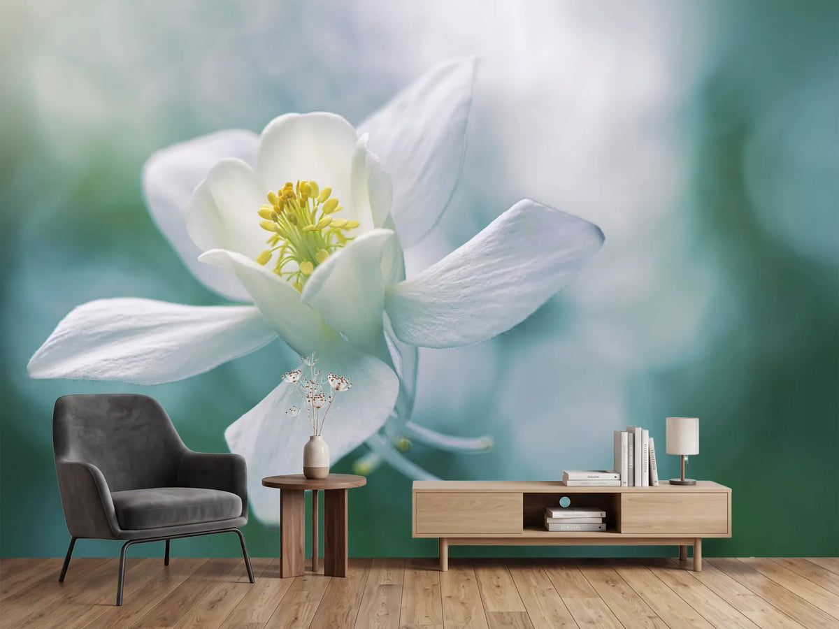 photo-wallpaper-purity-xbj