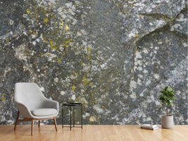 photo-wallpaper-lichen-covered-rock-texture