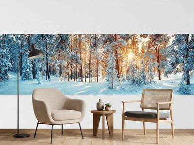 photo-wallpaper-silent-trail-in-the-white-forest