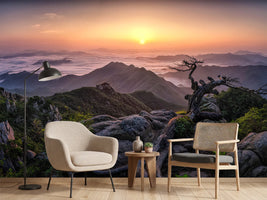 photo-wallpaper-sunrise-on-top-x