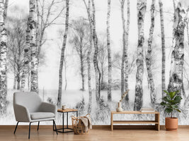 photo-wallpaper-black-and-white