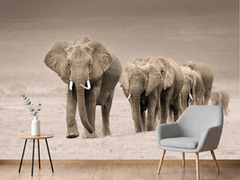 photo-wallpaper-african-elephant-procession