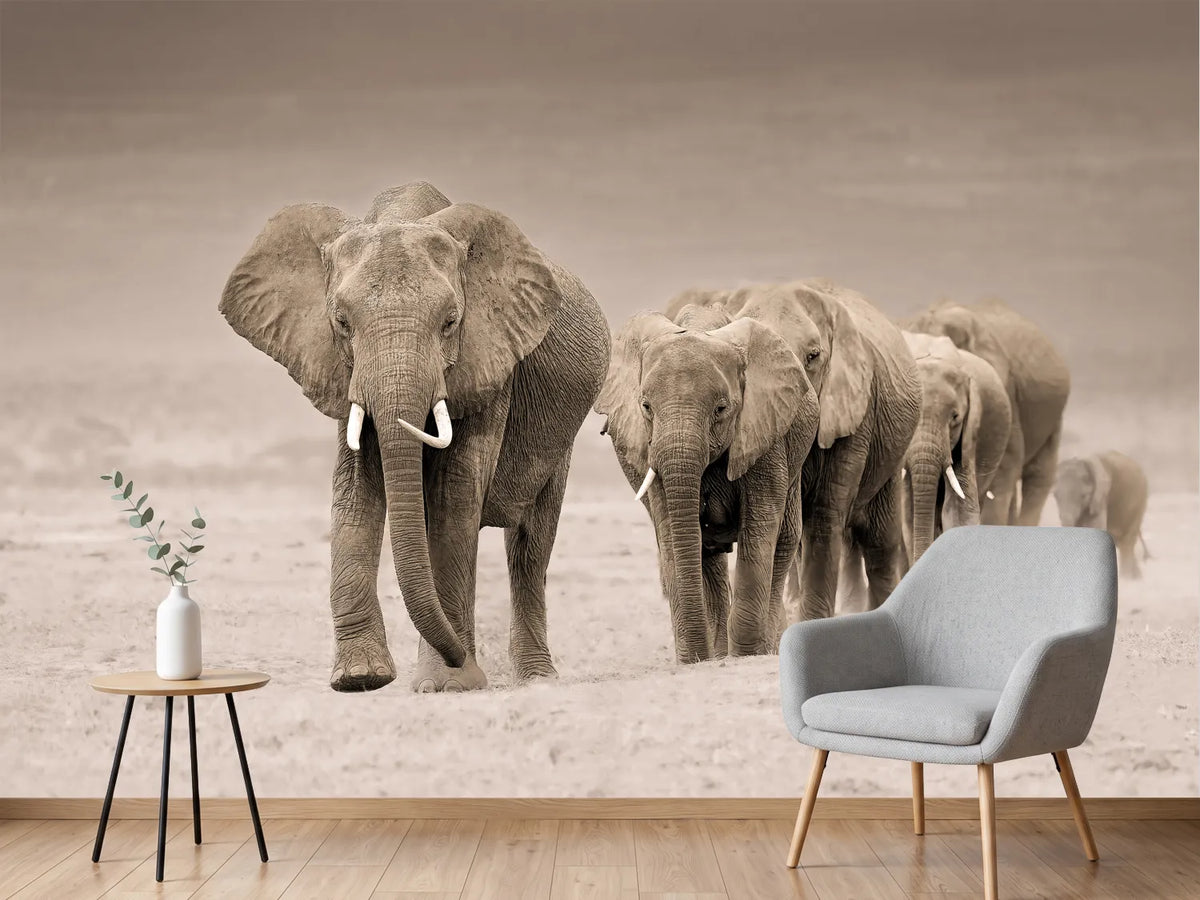 photo-wallpaper-african-elephant-procession