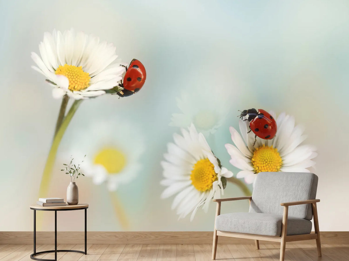 photo-wallpaper-springtime-xtp