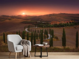 photo-wallpaper-tuscany-p