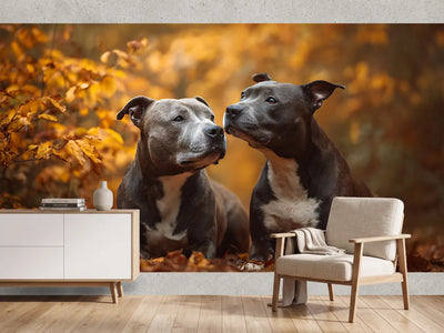 photo-wallpaper-two-dogs-among-golden-autumn-leaves-in-warm-light