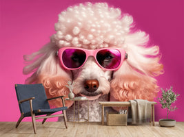 photo-wallpaper-white-poodle-in-pink-sunglasses-against-a-bold-pink-backdrop