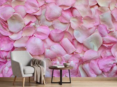 photo-wallpaper-rose-petals-in-pink-ii