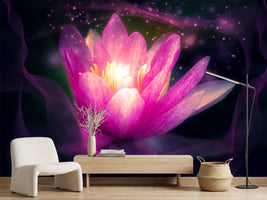 photo-wallpaper-lily-in-the-light-play