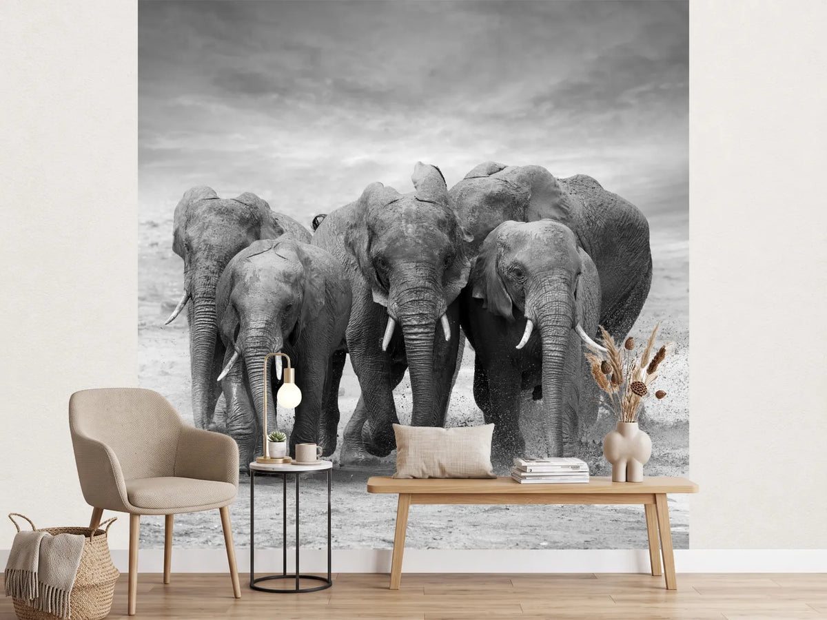 photo-wallpaper-the-elephants
