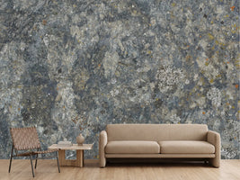 photo-wallpaper-weathered-stone-lichen-texture