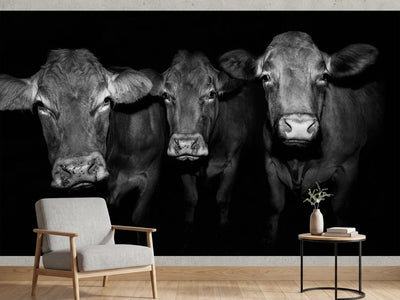 photo-wallpaper-kuh-2