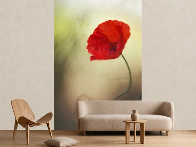 photo-wallpaper-untitled-xx