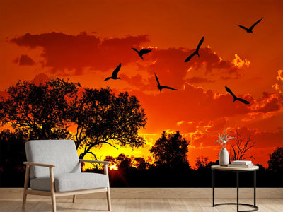 photo-wallpaper-african-feeling