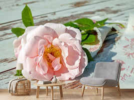 photo-wallpaper-wild-rose-in-pink