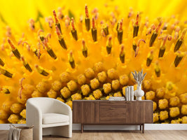 photo-wallpaper-the-buds-of-the-sunflower-in-xxl