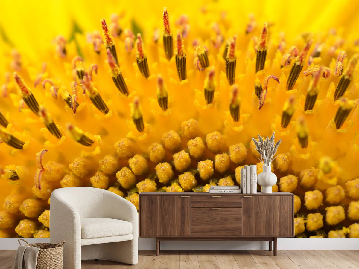 photo-wallpaper-the-buds-of-the-sunflower-in-xxl