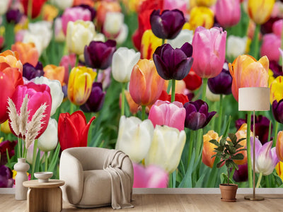 photo-wallpaper-the-colors-of-the-tulips