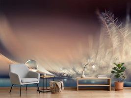 photo-wallpaper-stories-of-drops