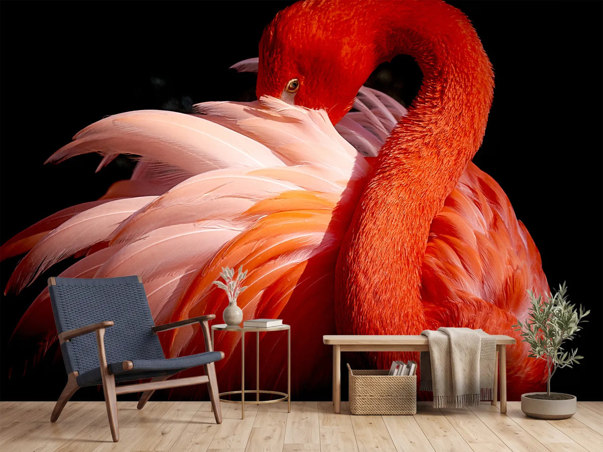 photo-wallpaper-flamingo-xoc