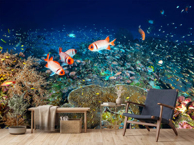 photo-wallpaper-reef-lifeii