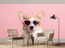 photo-wallpaper-adorable-corgi-wearing-pink-heart-shaped-sunglasses-on-pastel-background