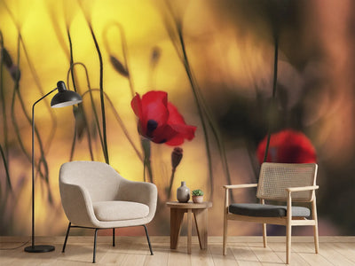 photo-wallpaper-untitled-xvi-p
