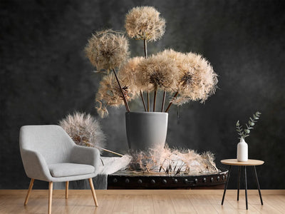 photo-wallpaper-dandelion-seed-pod-x