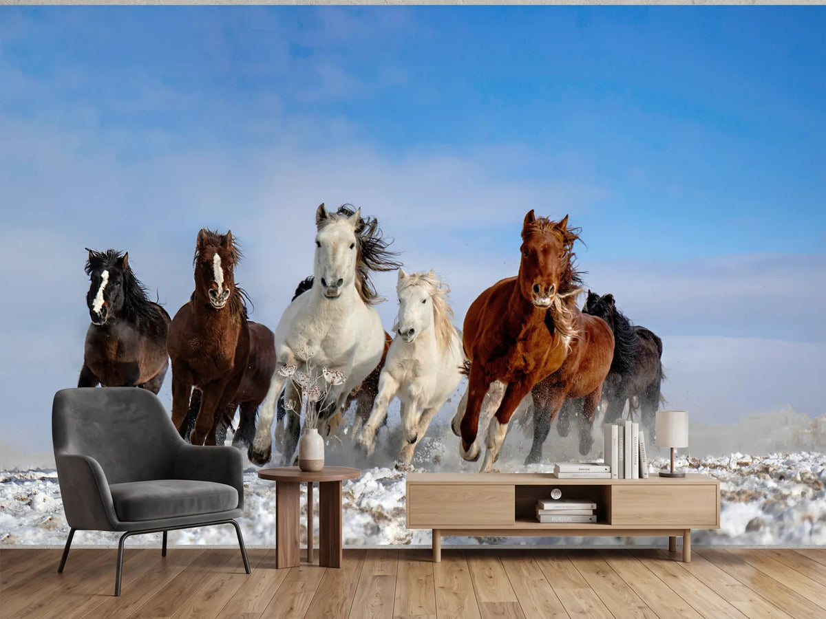 photo-wallpaper-wild-horses-galloping