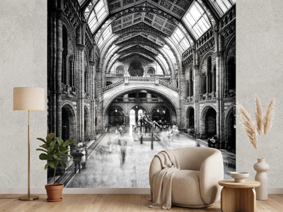 photo-wallpaper-natural-history-museum-of-london-x