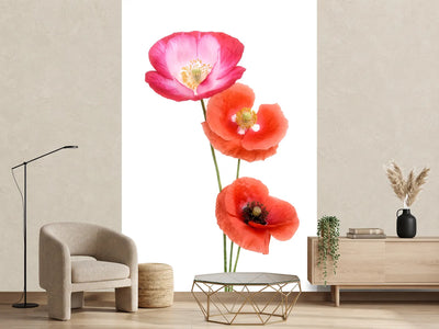 photo-wallpaper-colourful-poppies-x