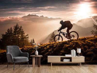 photo-wallpaper-golden-hour-biking-x